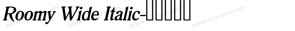 Roomy Wide Italic字体转换
